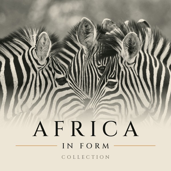 Africa in Form collection emblem