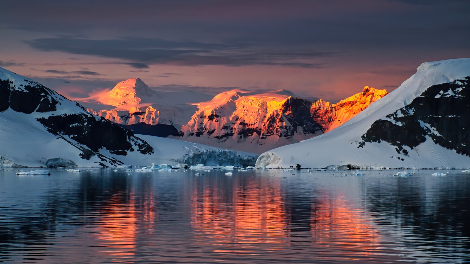 Alpenglow over the peninsula, Christmas Eve, Antarctic Peninsula