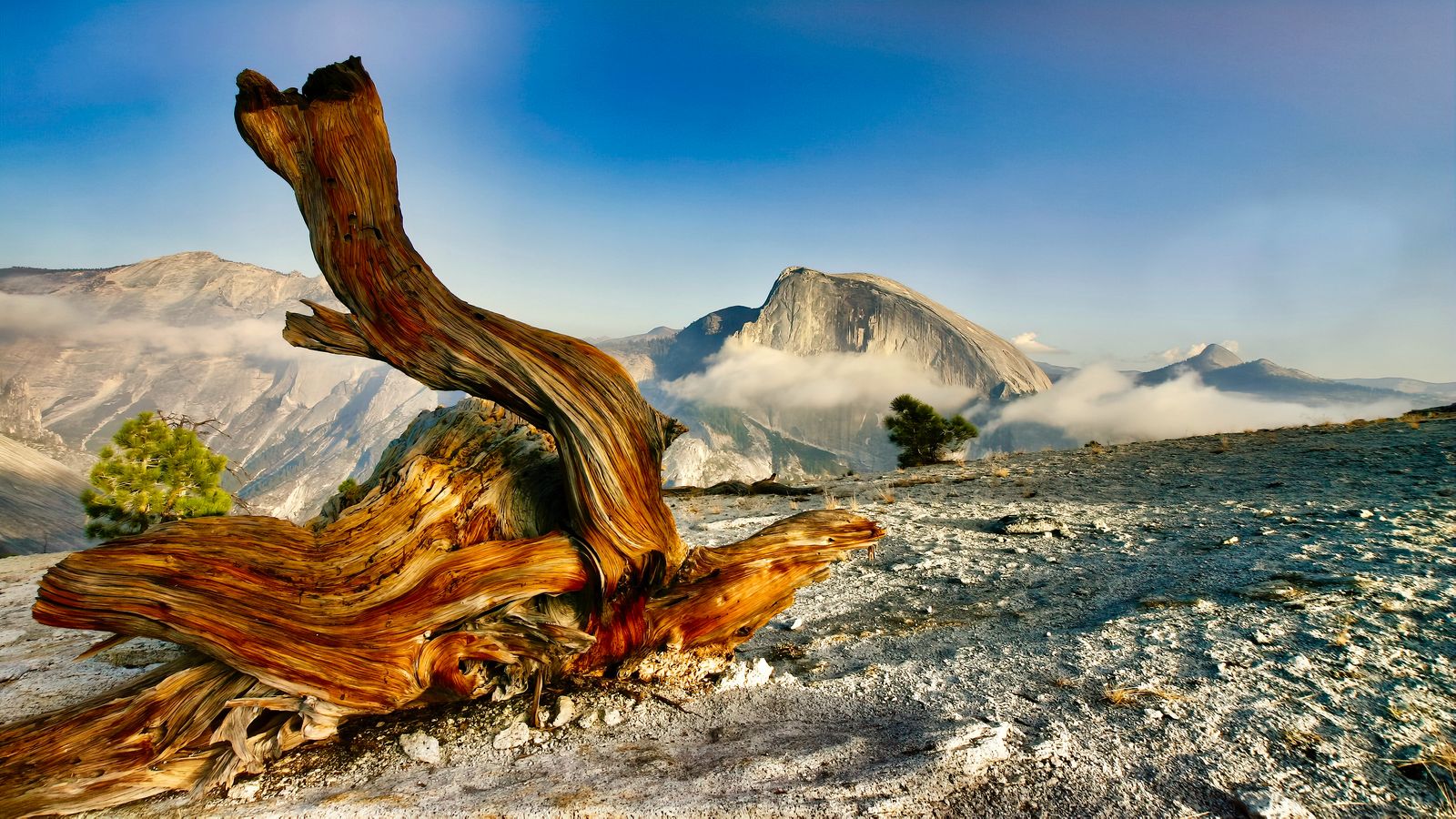 Half Dome, Yosemite, California
