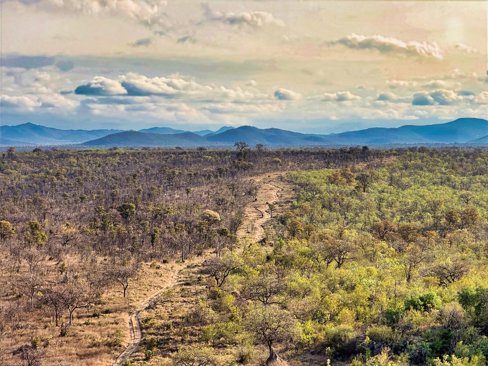 Bushveld with a track running to distant hills, Kruger