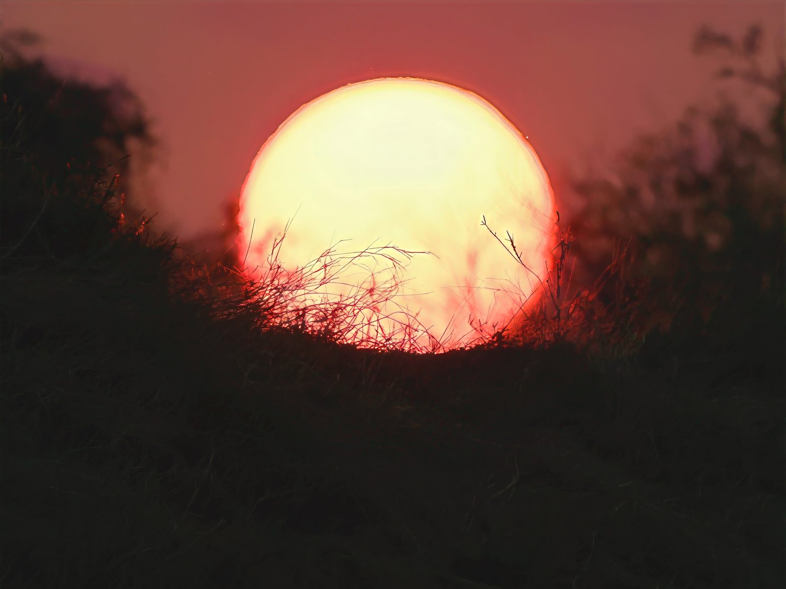 Red sun setting over a ridge, Kruger