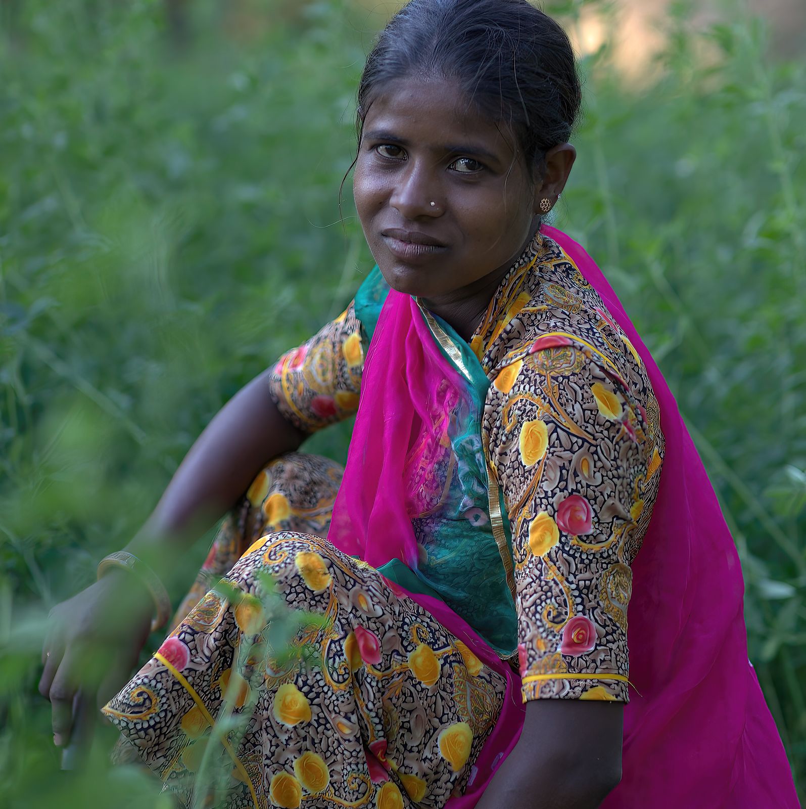 Farm worker, field at dusk, Rajasthan, India