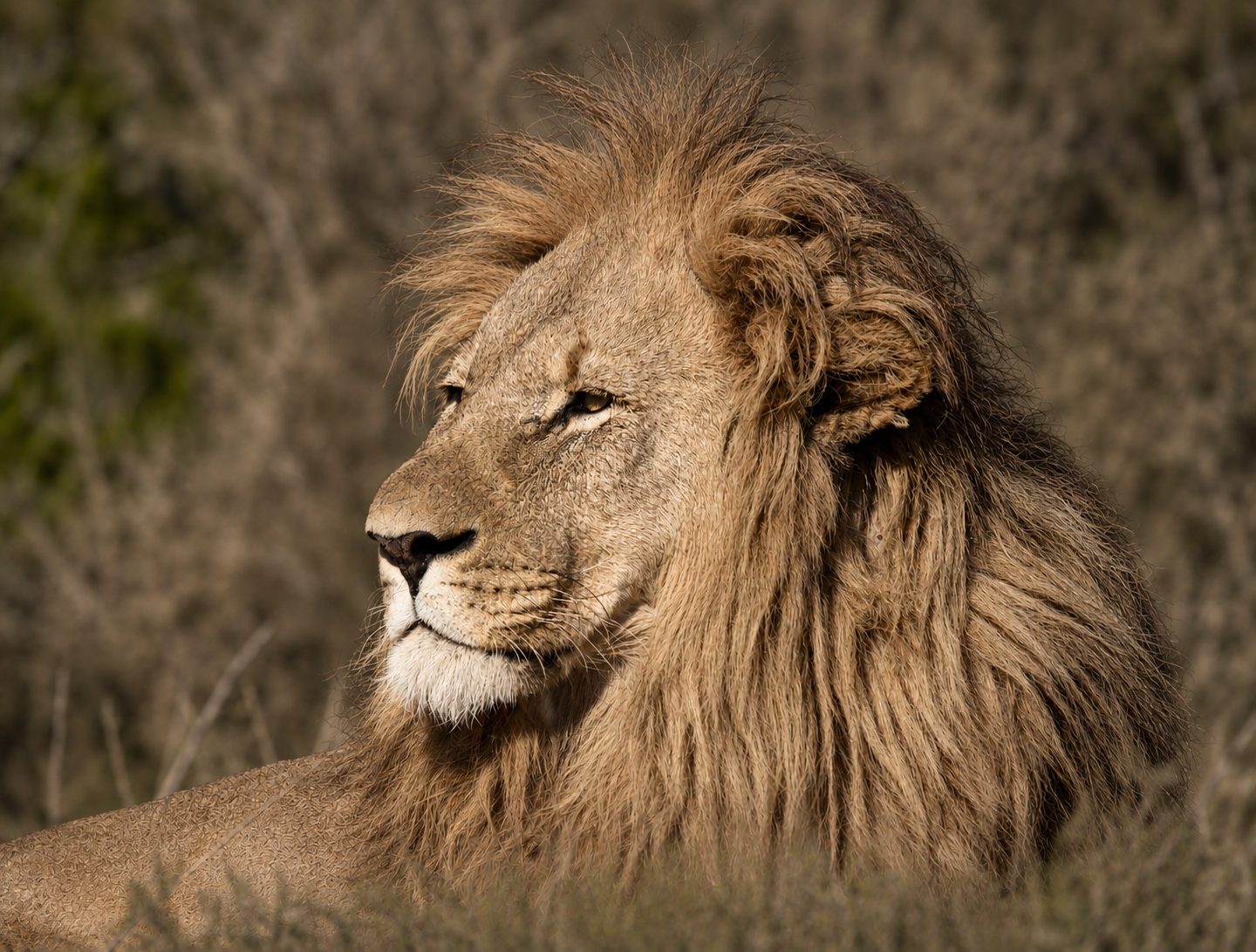 South Africa