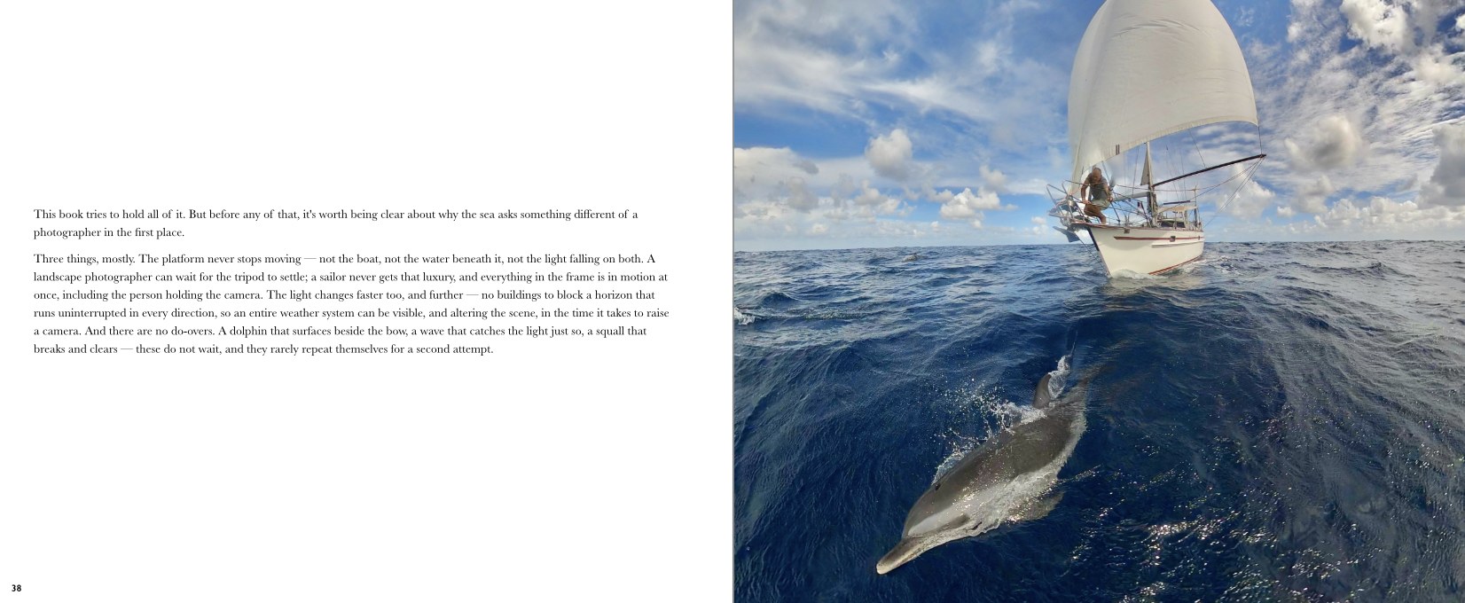 Reading the Sea — interior spread, dolphin alongside the bow