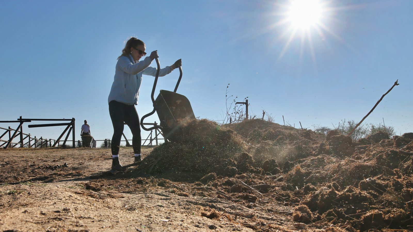 Elephant boma: mucking out, Zimbabwe
