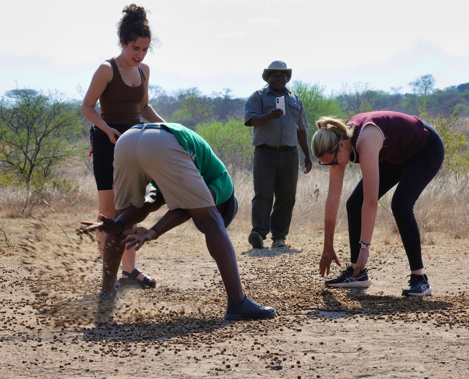 Feeding station: spreading feed, Zimbabwe