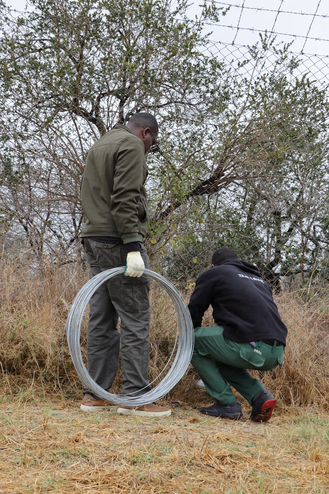 Fence repair: a coil of new wire, Zimbabwe
