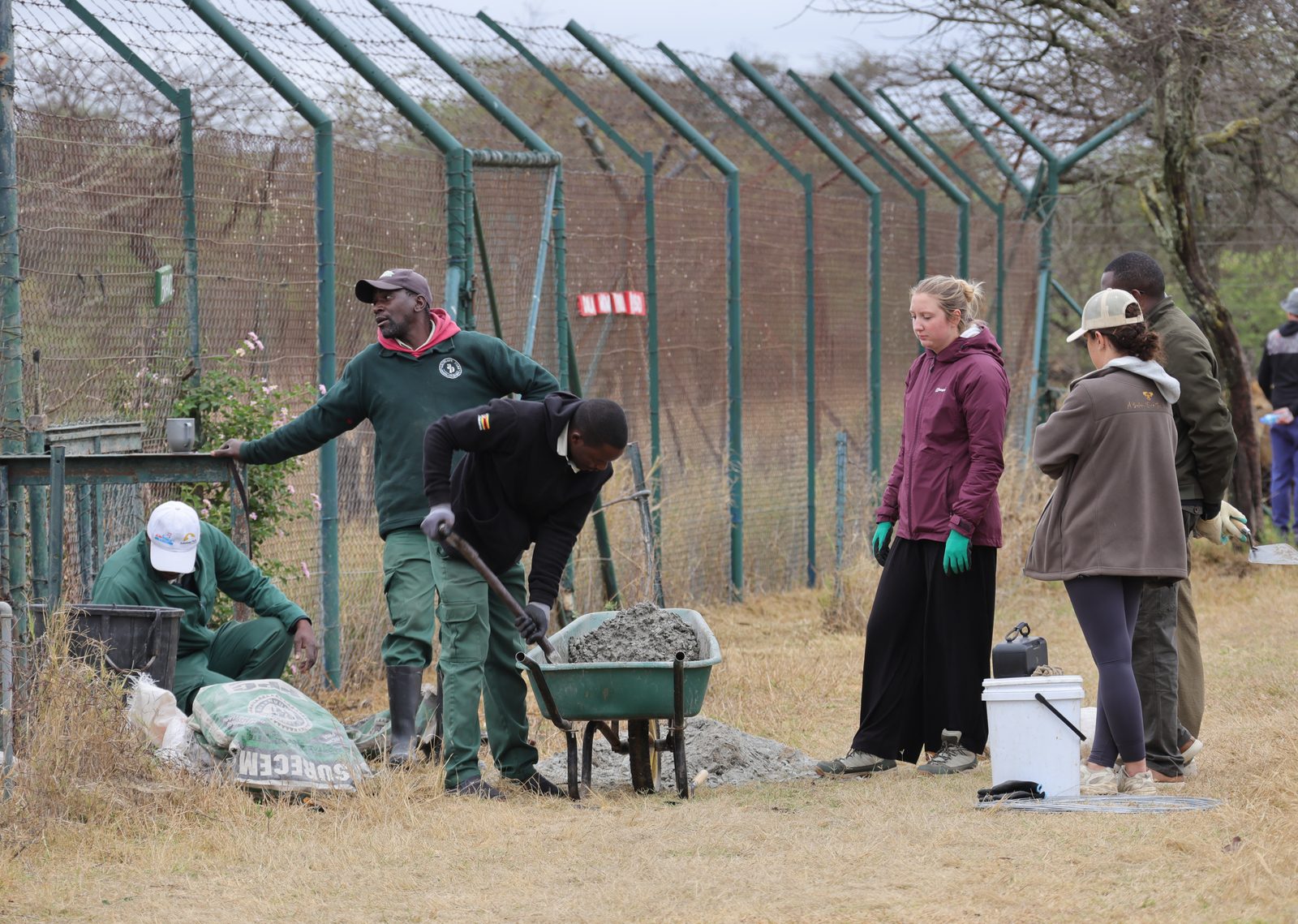 Fence repair: enclosure team, Zimbabwe