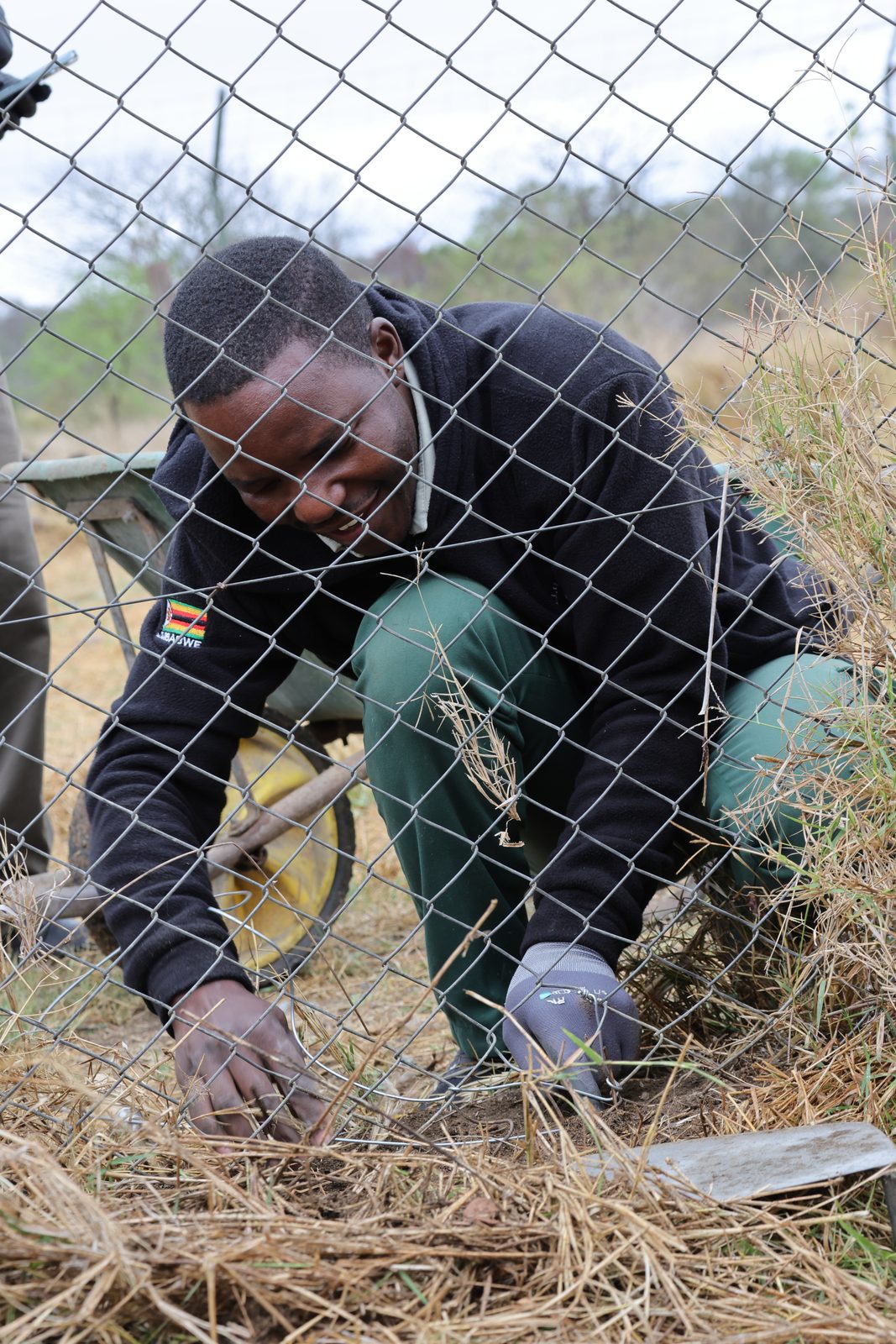 Fence repair: hands in the wire, Zimbabwe